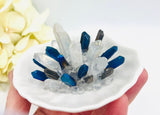 Wedding Ring Seashell Ring Dish