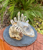 Ammonite Business Card Holder