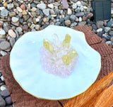 Wicked Jewelry Holder with Pink and Green Quartz
