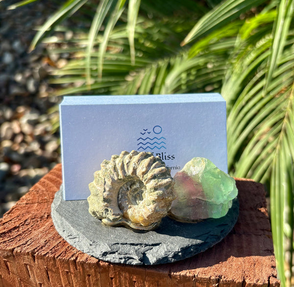 Fluorite and Ammonite Business Card Holder
