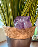 Amethyst Scotty Dog Copper Plant Stake