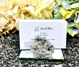 Pyrite Crystal Business Card Holders